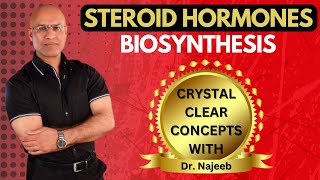 Synthesis of Steroid Hormones  Biosynthesis  Dr Najeeb👨‍⚕️ [upl. by Nnylirak]