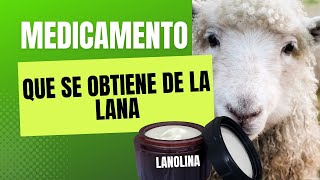 Lanolina Medicamento que se obtiene de la lana [upl. by Hortensa]