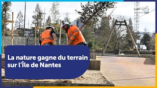 La nature gagne du terrain sur l’Île de Nantes [upl. by Lukin]