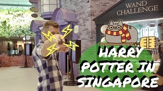 LIKES  DISLIKES of Singapore  Harry Potter World  Changi Airport Singapore [upl. by Sayles579]