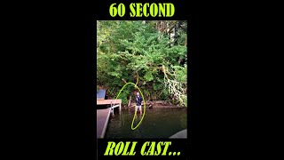 The SECRET to a Good Fly Cast  How to Roll Cast a Fly Rod in Under 60 Seconds shorts [upl. by Aitnecserc2]