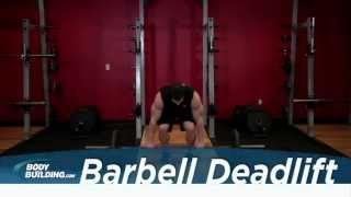 Barbell Deadlift  Leg amp Back Exercise  Bodybuildingcom [upl. by Slerahc]