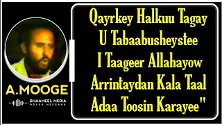 HEES  i taageer alahayow  Axmed Mooge ♦ Hees Qaraami Xul ah With Lyrics [upl. by Demetris665]