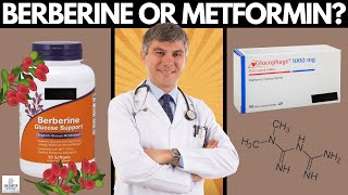 Berberine vs Metformin Glucophage – A Doctor Reveals Which One To Choose In 2022 [upl. by Pate204]