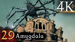 Bloodborne  First Time 4K 100 Platinum Walkthrough Part 29  Amygdala [upl. by Telfore]