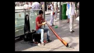 Electronic Didgeridoo player [upl. by Jaf]