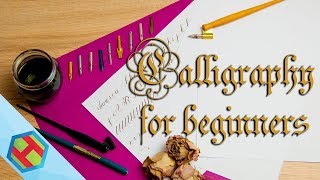 Calligraphy for complete beginners  how to get started [upl. by Itnahsa]