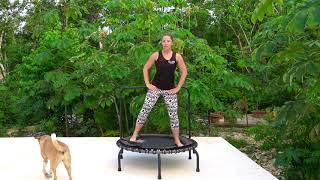 20 Min Beginners  Low Impact Plus Size Rebounding workout on a JumpSport Fitness Trampoline [upl. by Vittoria754]