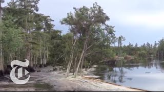 Sinkhole in Louisiana Swallows Trees  Caught on Tape 2013  The New York Times [upl. by Tempest]