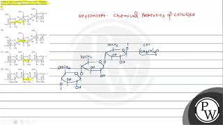 Cellulose upon acetylation with excess acetic anhydride \ \mathrmH2 \mathrmSO4 \ c [upl. by Ietta]