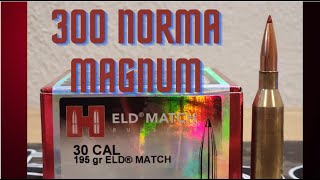 300 Norma 195gr EDLM H1000 [upl. by Erialb]