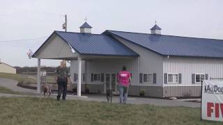 Morton Buildings Tour  All Dogs Canine Care Kennel [upl. by Aicener]