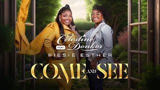 Celestine Donkor  Come and See Ft Piesie Esther [upl. by Agate482]