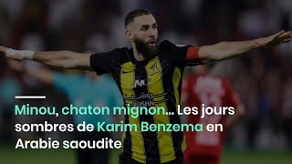 Minou chaton mignon… Les jours sombres de Karim Benzema en Arabie saoudite [upl. by Essinger392]