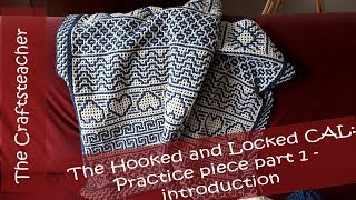 Hooked and Locked Crochet Along Practice piece part 1  introduction interlocking crochet [upl. by Haerb40]