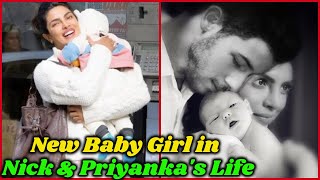 New Baby Girl in Nick and Priyanka Chopra Life [upl. by Oj]