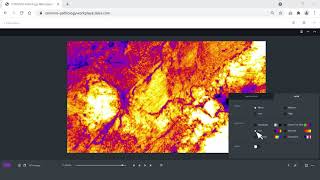 How to process and annotate confocal images  ZEISS CONVIVO In Vivo Pathology Suite [upl. by Manolo158]