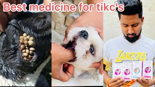 Bravecto tablet to remove dog ticks [upl. by Neral543]