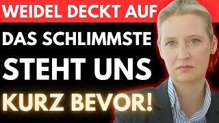 WEIDELS LETZTE WARNUNG 🚨 Der FINALE AMPEL PLAN steht kurz bevor  DAS wird uns ALLES kosten [upl. by Notsla]