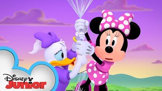 Upsy Minnie and Daisy  Minnies BowToons đźŽ€  disneyjr [upl. by Sherrie]