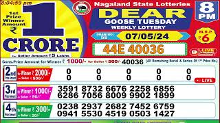 Dear goose tuesday weekly lottery 8PM 07052024 [upl. by Aiekahs]