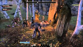 TESO Infecting another player with Lycanthropy [upl. by Ayatnwahs650]