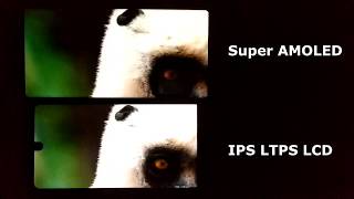 Super Amoled vs IPS Display Test [upl. by Anyale534]