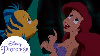 Los mejores momentos de Ariel y sus amigos  Disney Princesa [upl. by Areis789]