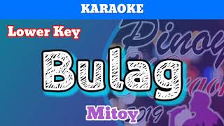 Bulag by Mitoy Karaoke  Lower Key [upl. by Kenaz537]