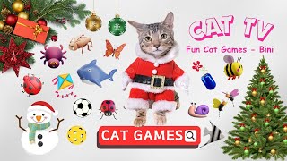 Cat Games Squirrel Mouse Lizard Bird 🐛🐜🐀 1 Hours GAME FOR CATS Vol Latest Special 🐛🐜🐁🐠🐞⚽🦟🦜🐀🕷🐓🐦 [upl. by Drofniw816]