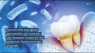 CXXC5 promotes cementogenesis protects against periodontitis by supporting mitochondria formation [upl. by Aeli451]