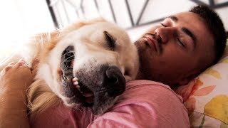 How My Dog Sleeps with Me in Bed [upl. by Orips]