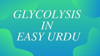 Glycolysis in easy urdu [upl. by Sukul114]