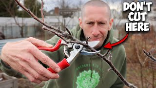 This Method of Pruning Trees will Simplify Everything [upl. by English1]