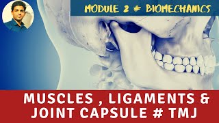 MUSCLES LIGAMENTS amp JOINT CAPSULE Temporomandibular Joint Biomechanics [upl. by Clyde]