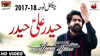 Haider Haider  Haider Shirazi  201718 Noha  TP Muharram [upl. by Molini]