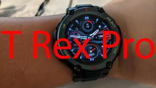 Amazfit Trex Pro Review [upl. by Trelu]