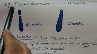 Types of Chromosome In HINDI For CSIR NET and NEET [upl. by Joletta611]