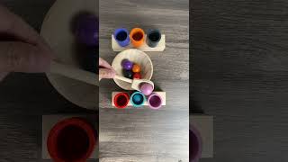 Wooden marbles ASMR satisfying satisfyingasmr satisfyingreverse marblessounds [upl. by Langan455]