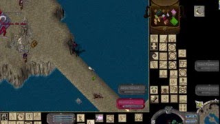 Another Day in Despise  Ultima Online [upl. by Aloysia402]