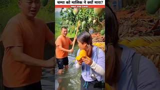 चम्पा को मालिक ने क्यों मारा amazingfacts shorts shortsfeed ytshorts champa mrbeast [upl. by Ellevehc195]