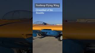 The Northrop Flying Wing  Granddad of the Stealths [upl. by Assiron]