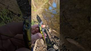 Storm thunderstick lure lurefishing [upl. by Cowley]