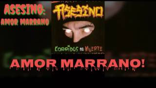 Asesino  Amor Marrano Lyrics HD [upl. by Haduj690]