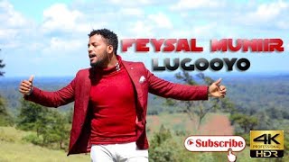 FEYSAL MUNIIR  LUGOOYO  OFFICIAL MUSIC VIDEO  BY Y3A PRODUCTIONS [upl. by Lohner]