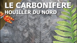 Le Carbonifère houiller du Nord et sa flore fossile [upl. by Notsuh]