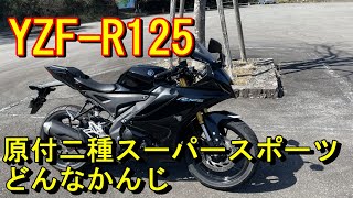 YZFR125 原付二種スーパースポーツはどんな感じなんでしょう [upl. by Irap]