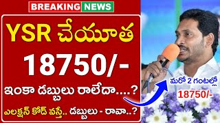 రేపటి నుండి 18750రూవిడుదలYSR Cheyutha Pending Amount Release Date 2024 in APYSR Cheyuta Updates [upl. by Bronwen]