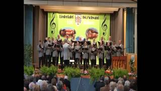 Donauwalzer gesungen vom Chor Liedertafel Schwand 1862 eV 2012 [upl. by Daren]