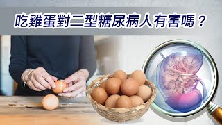 107 吃雞蛋對二型糖尿病人有害嗎？ [upl. by Airres]